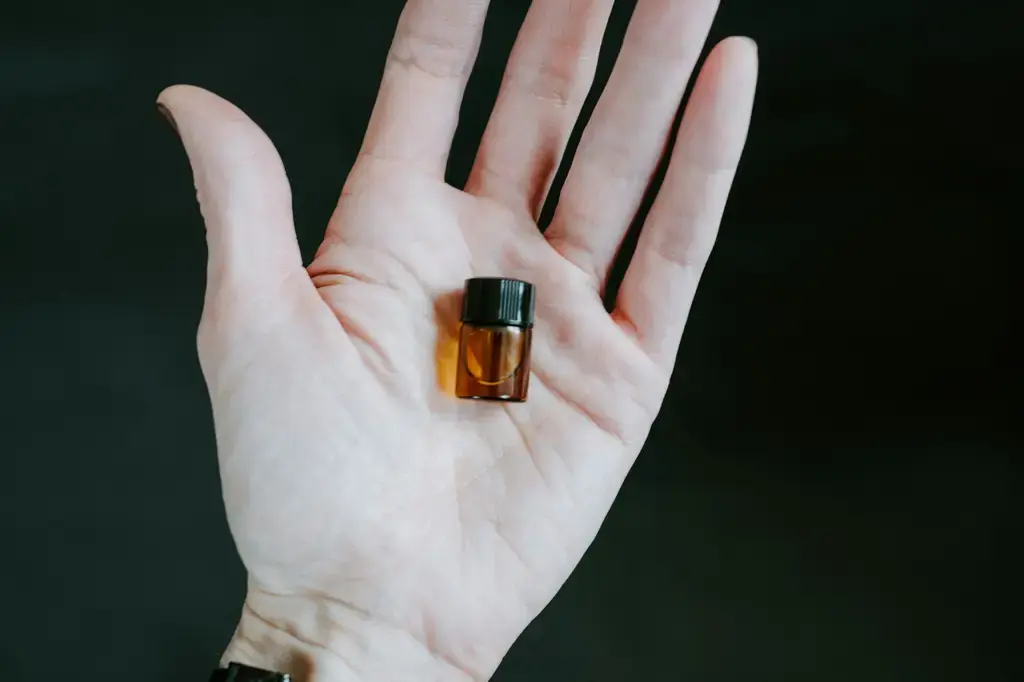 香氣繚繞的白蘭花香水:台灣用語的典雅邂逅