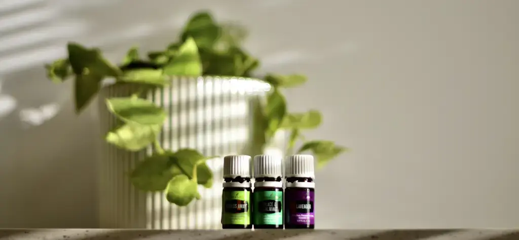 忍冬與印蒿：台灣藥用植物之星