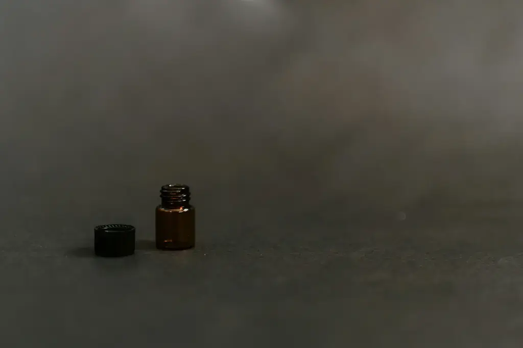 邂逅絕代經典：香奈兒N°5的永恆風華